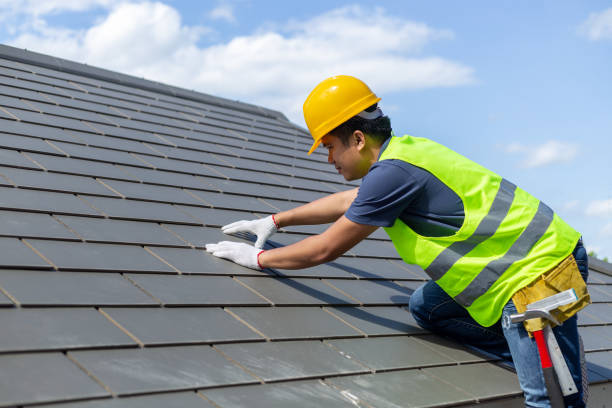 Best Flat Roof Repair Services  in Sheldon, IL