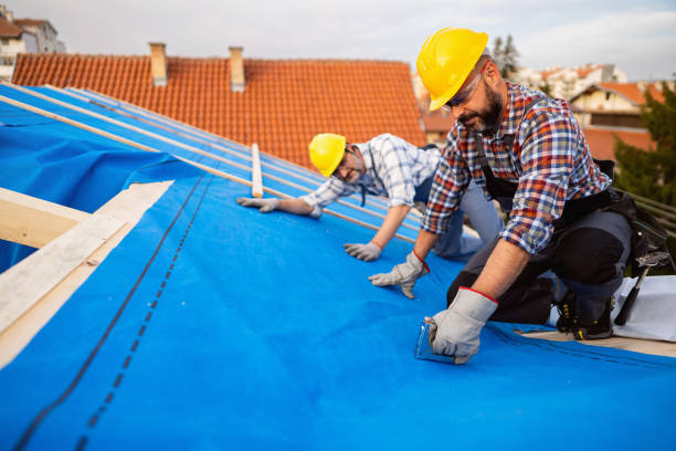 Best Flat Roof Repair Services  in Sheldon, IL