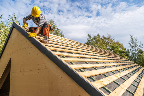 Best Metal Roofing Contractor  in Sheldon, IL