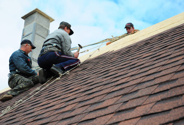 Best Commercial Roofing Services  in Sheldon, IL